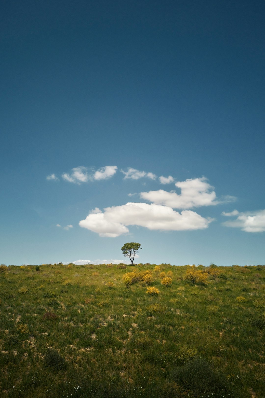 What is the value of Wisconsin land when selling for cash money?