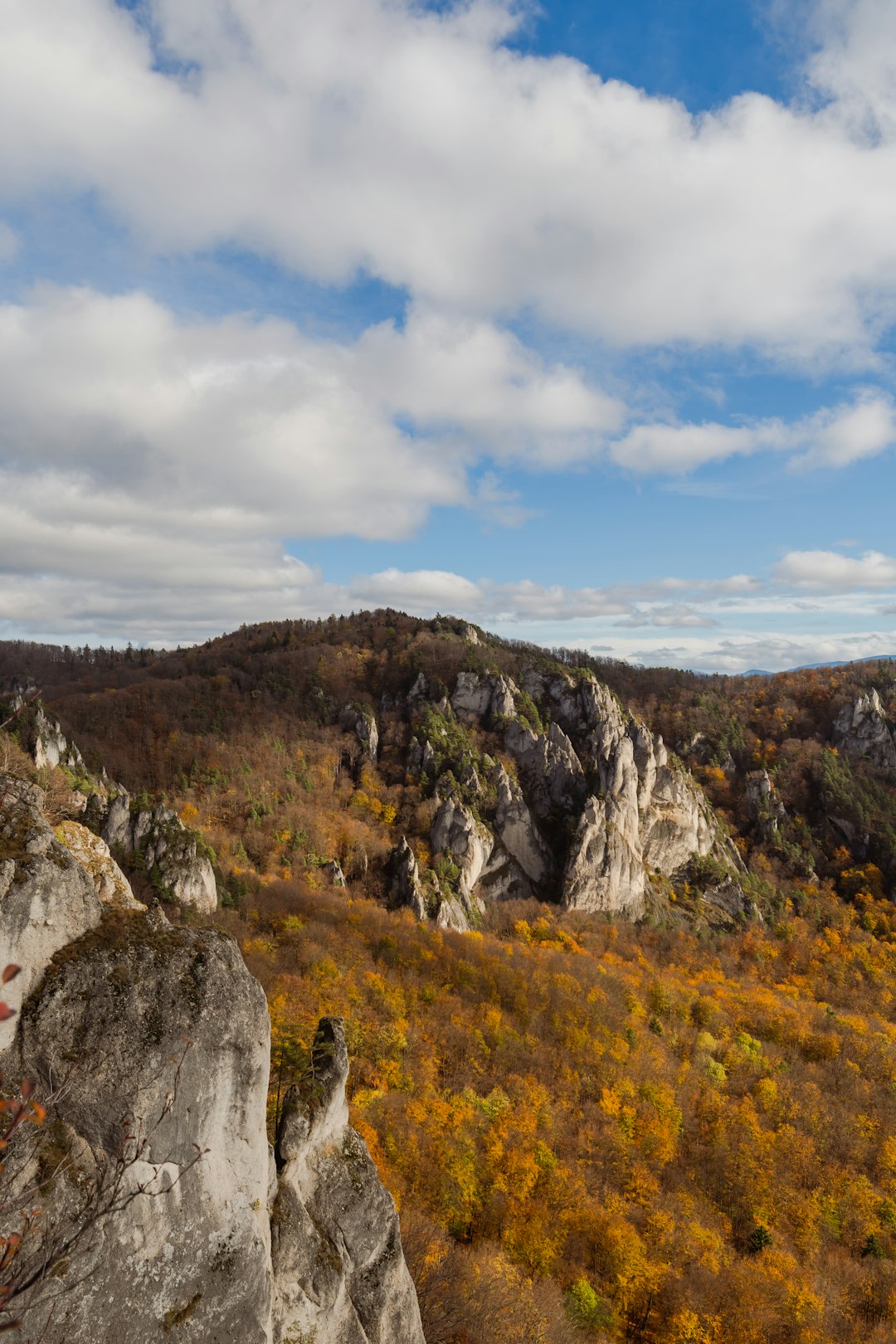 What is the lawful paperwork required to offer Wisconsin land for cash?